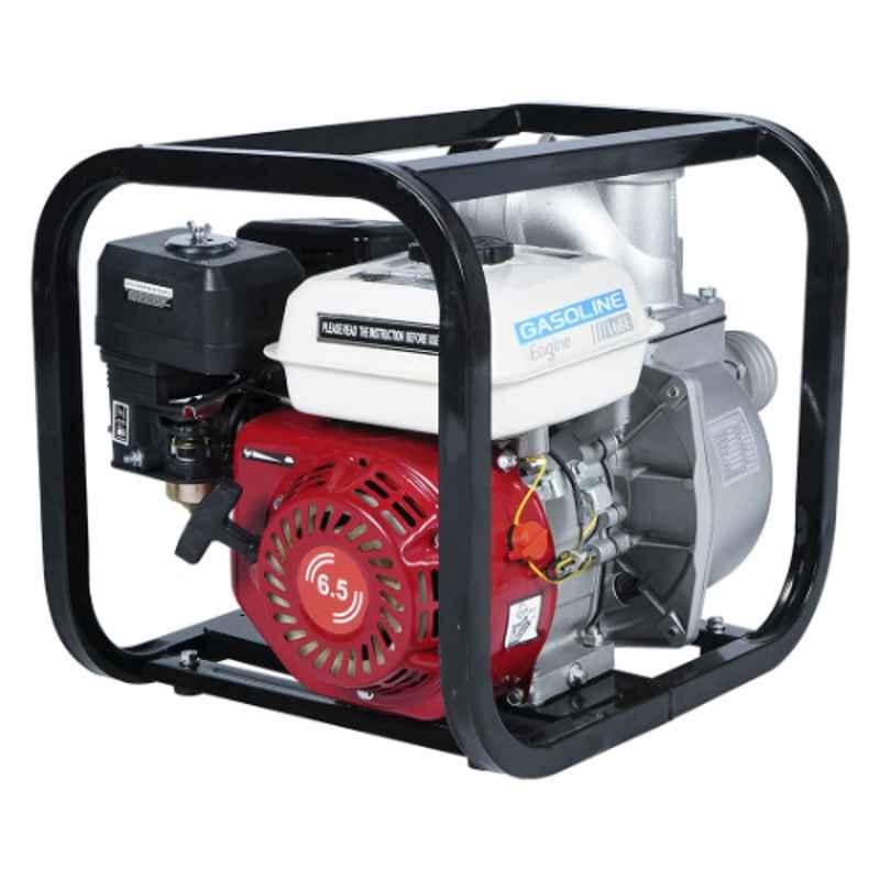 Really RAPL-WP-20R 6.5HP Agriculture Water Pump Set, MTAK-EN-WA-4852