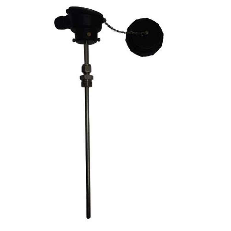 ACE Instruments PT-100 RTD Sensor with Thermocouple Head