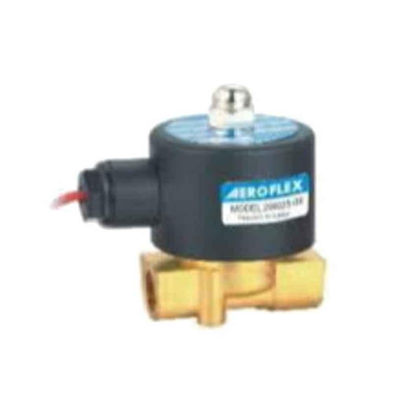 Aeroflex 3/4 inch 2/2 Direct Operating Valve with Brass Coil, 20-2WZ