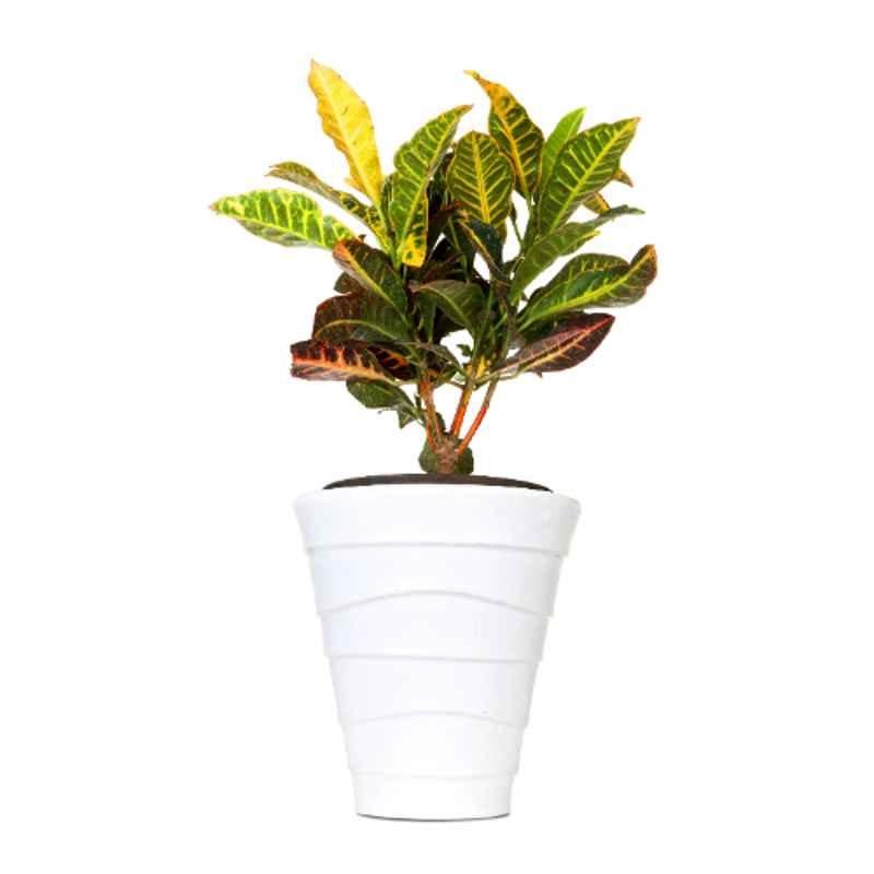 Blume Colosseum 10 inch White Plastic Flower Pot