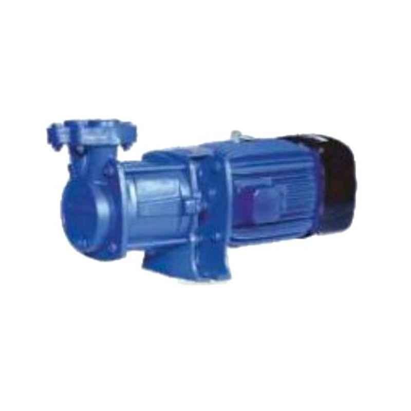 Kirloskar KV20 1.02HP One Phase Monoblock Vaccum Pump, D11080100123