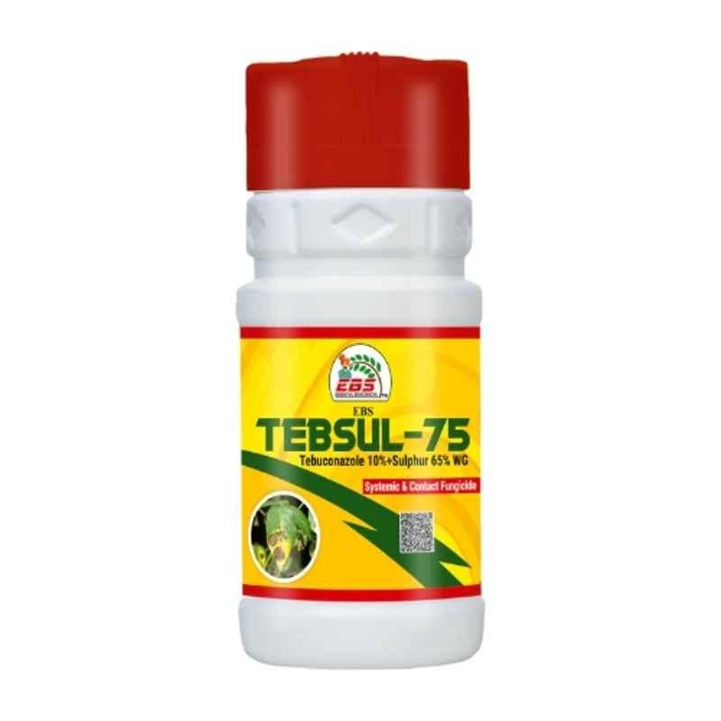 EBS Tebsul-75 1kg Tebuconazole 10% & Sulphur 65% WG Fungicide for Wheat, Rice, Groundnut, Tea, Soybean, Banana & Coffee (Pack of 2)