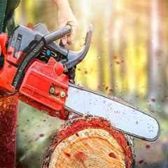 Gardening & Landscaping