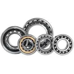 Bearings & Power Transmission
